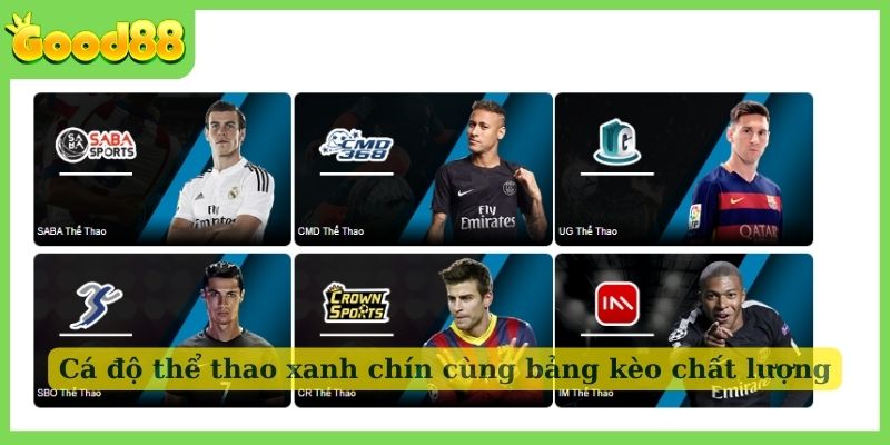 Cá độ thể thao xanh chín cùng bảng kèo chất lượng